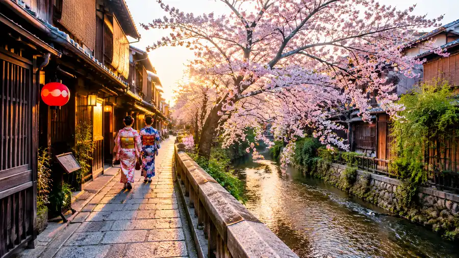 Hanamikoji Street & Shirakawa Area Guide